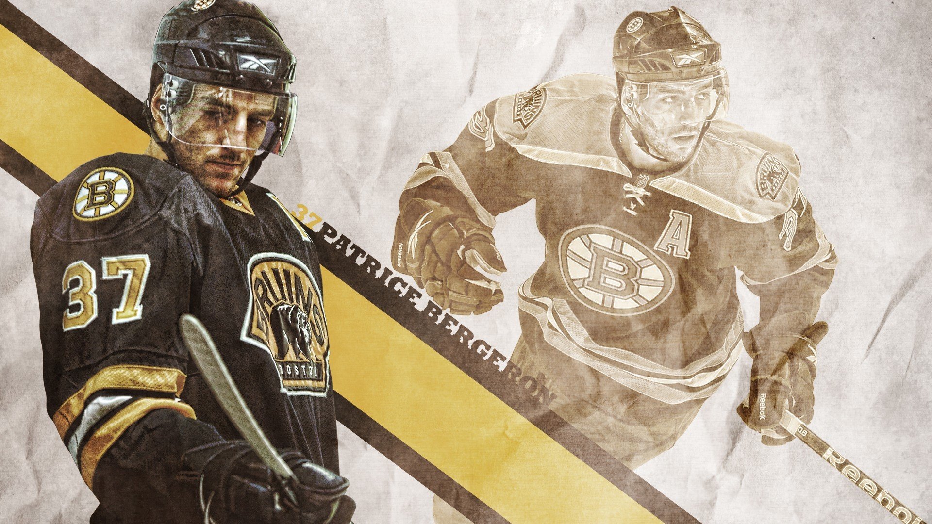 意大利马术协会建立马匹基因数据库，促进马匹选育与训练。，意大利马具